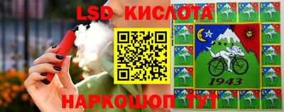 спиды Камышлов