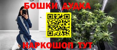 спиды Камышлов