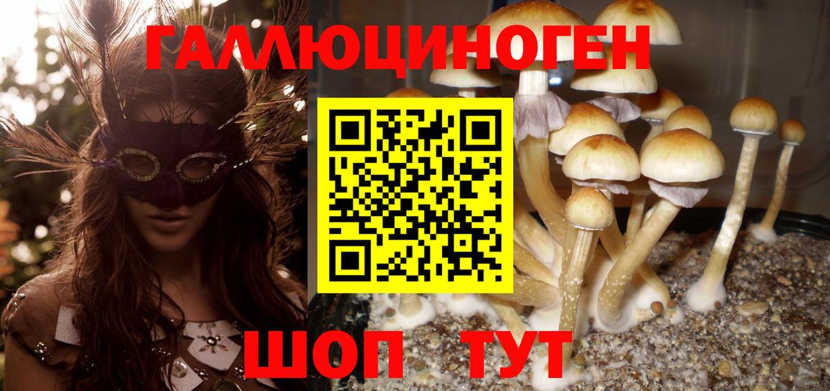 Псилоцибиновые грибы MAGIC MUSHROOMS Лениногорск