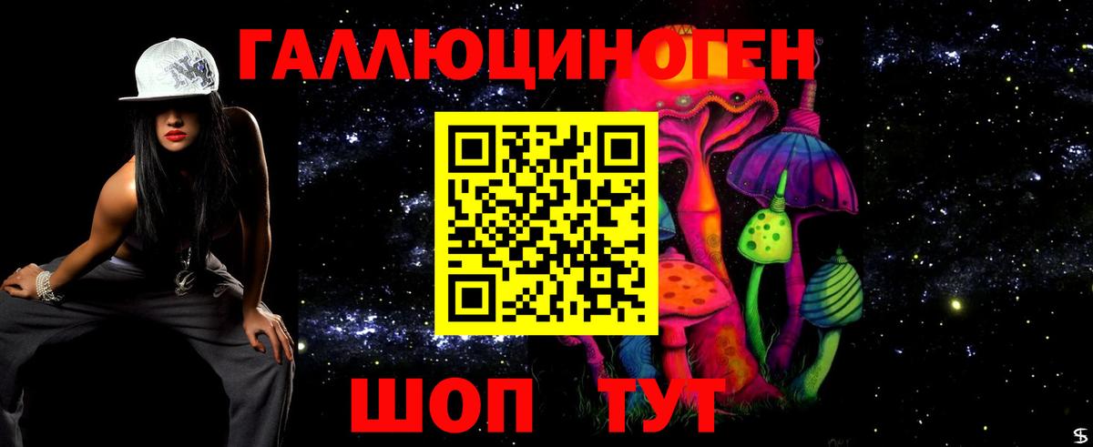 Псилоцибиновые грибы Psilocybine cubensis  Вход с VPN  Лениногорск  Псилоцибиновые грибы GOLDEN TEACHER 